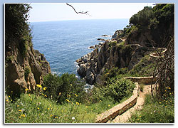 Cala de Sa Tortuga